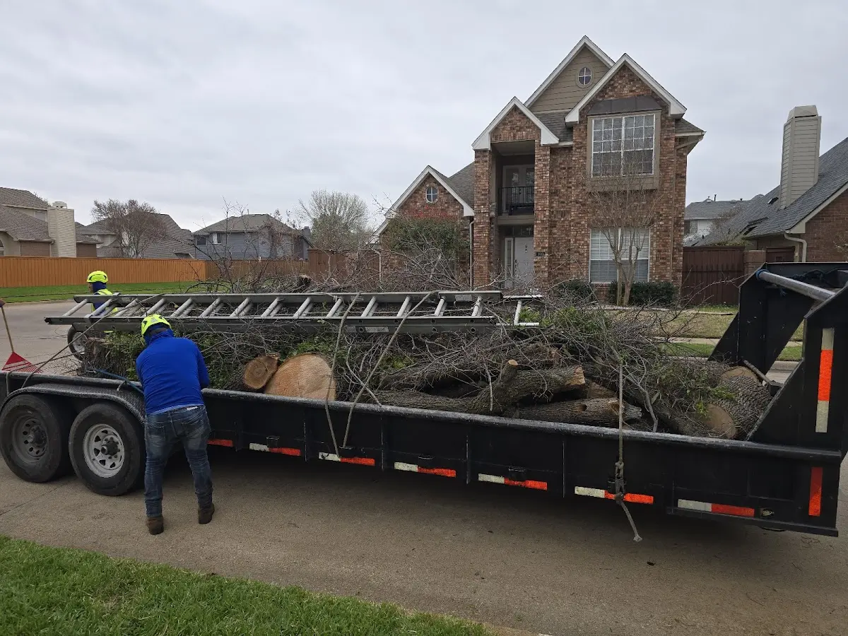 Expert Tree Pest Control with proper safety equipment in Lefor
